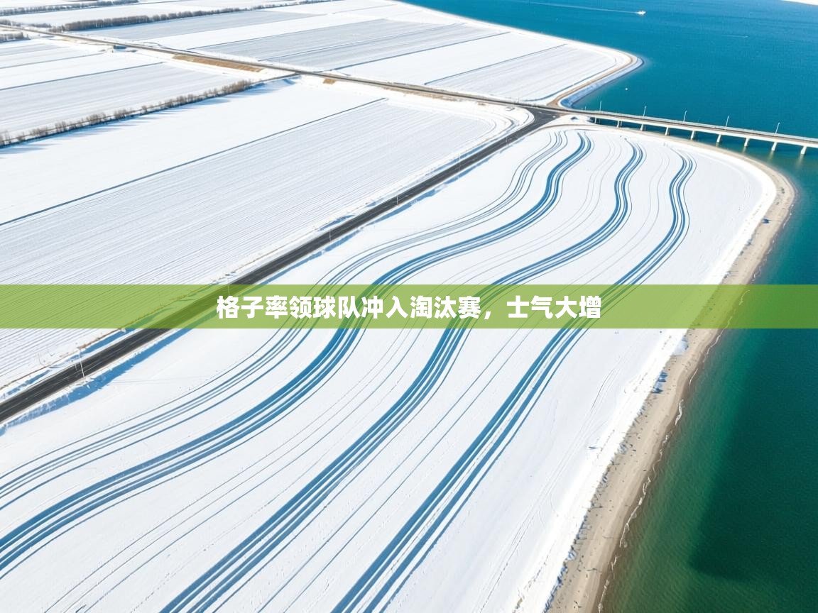 格子率领球队冲入淘汰赛，士气大增  第2张