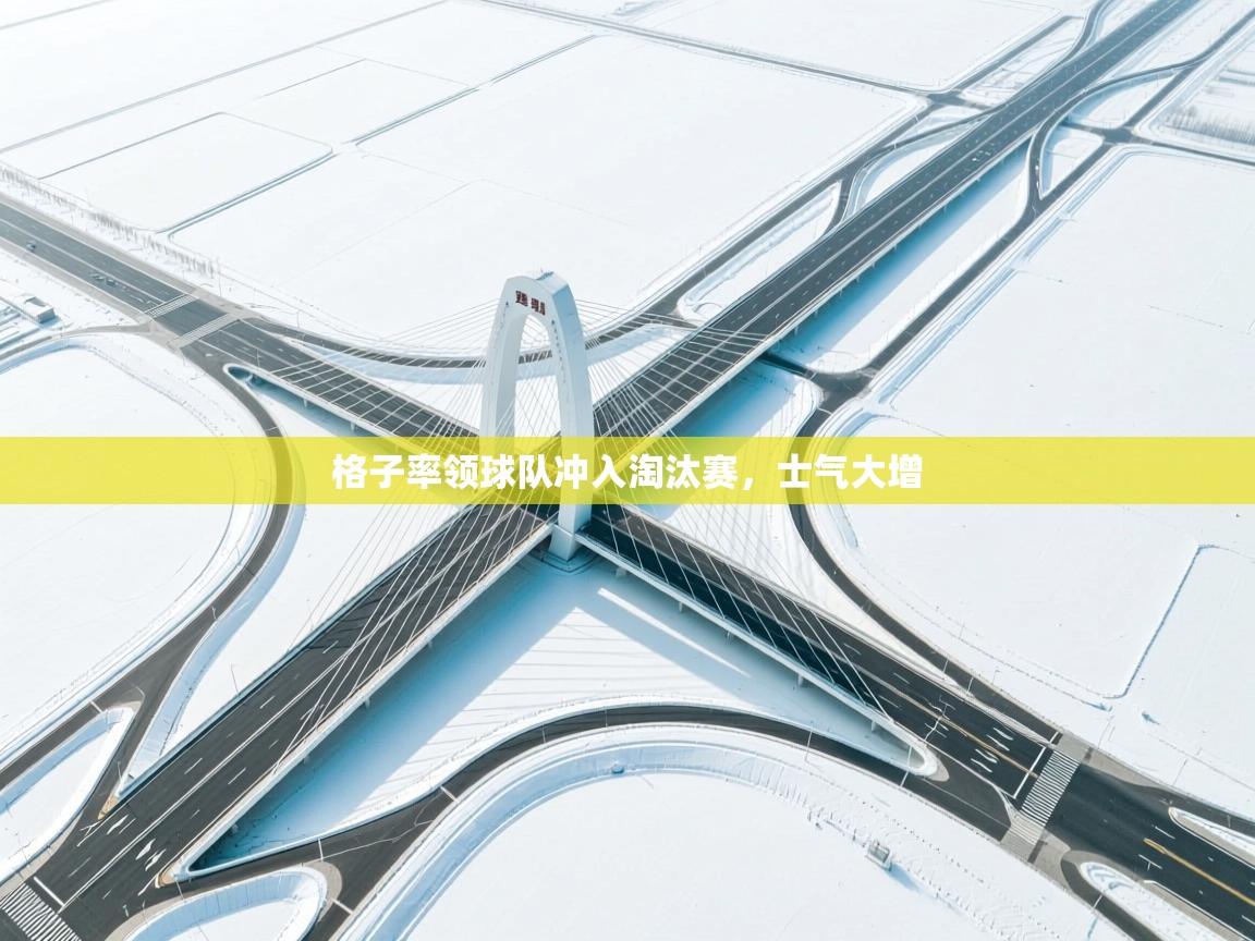 格子率领球队冲入淘汰赛，士气大增  第1张