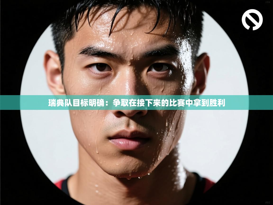 瑞典队目标明确：争取在接下来的比赛中拿到胜利  第2张